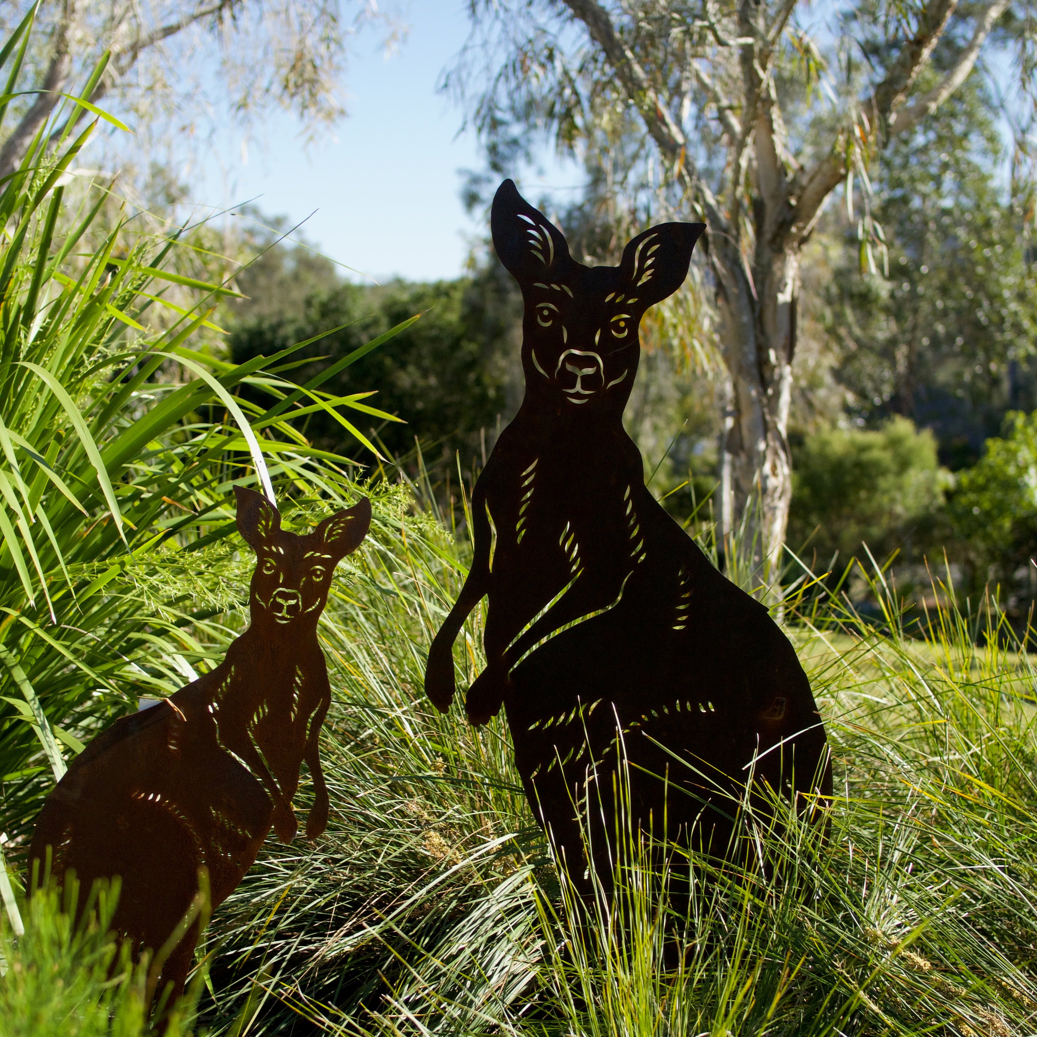 Gardening in Dry Times: A Brisbane Guide