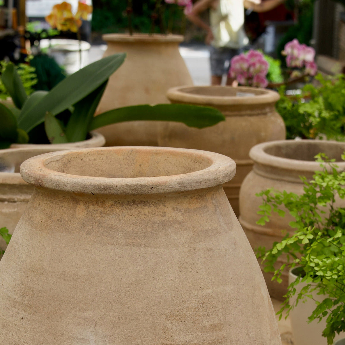 Antique Terra Chatenay Jar