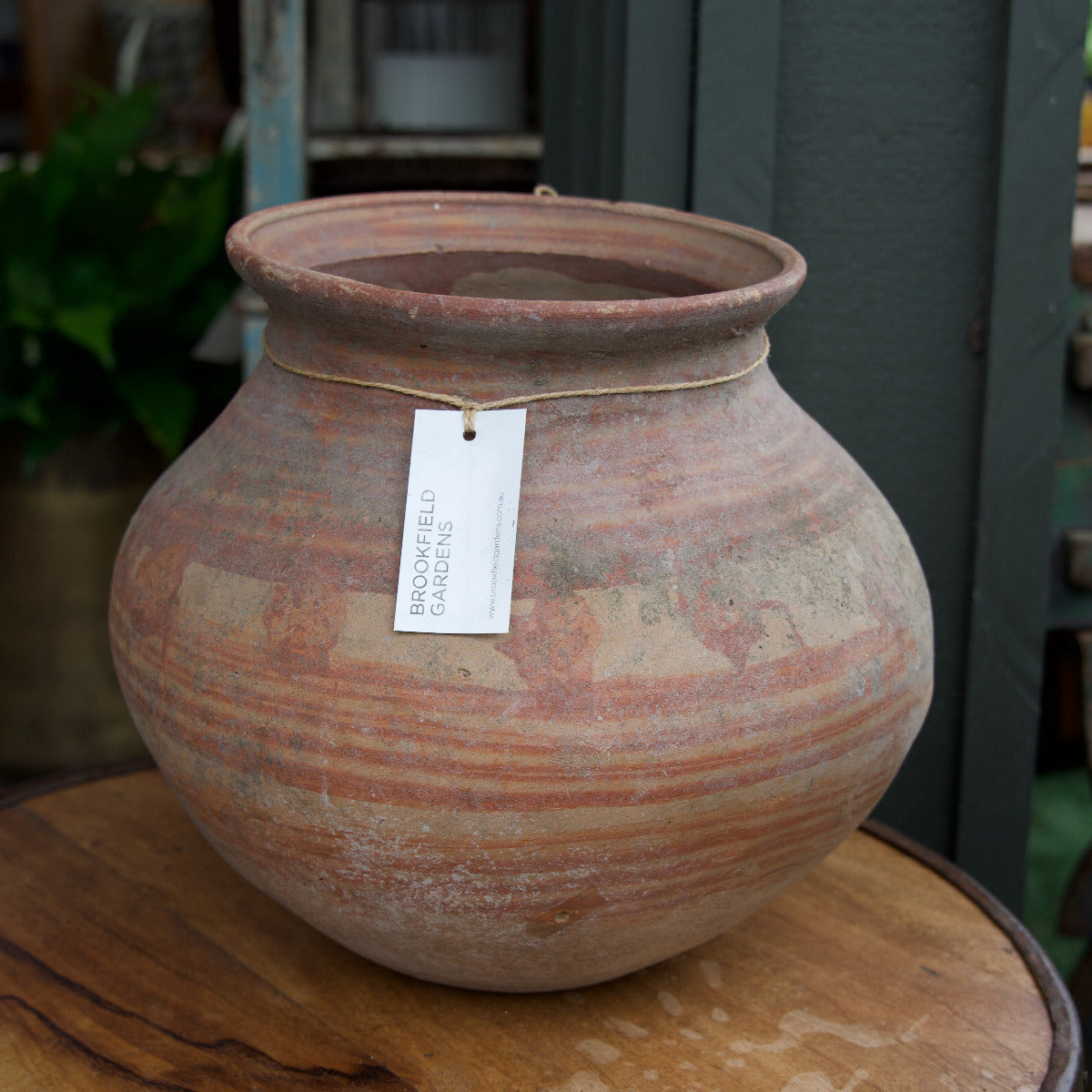 Terracotta Pot