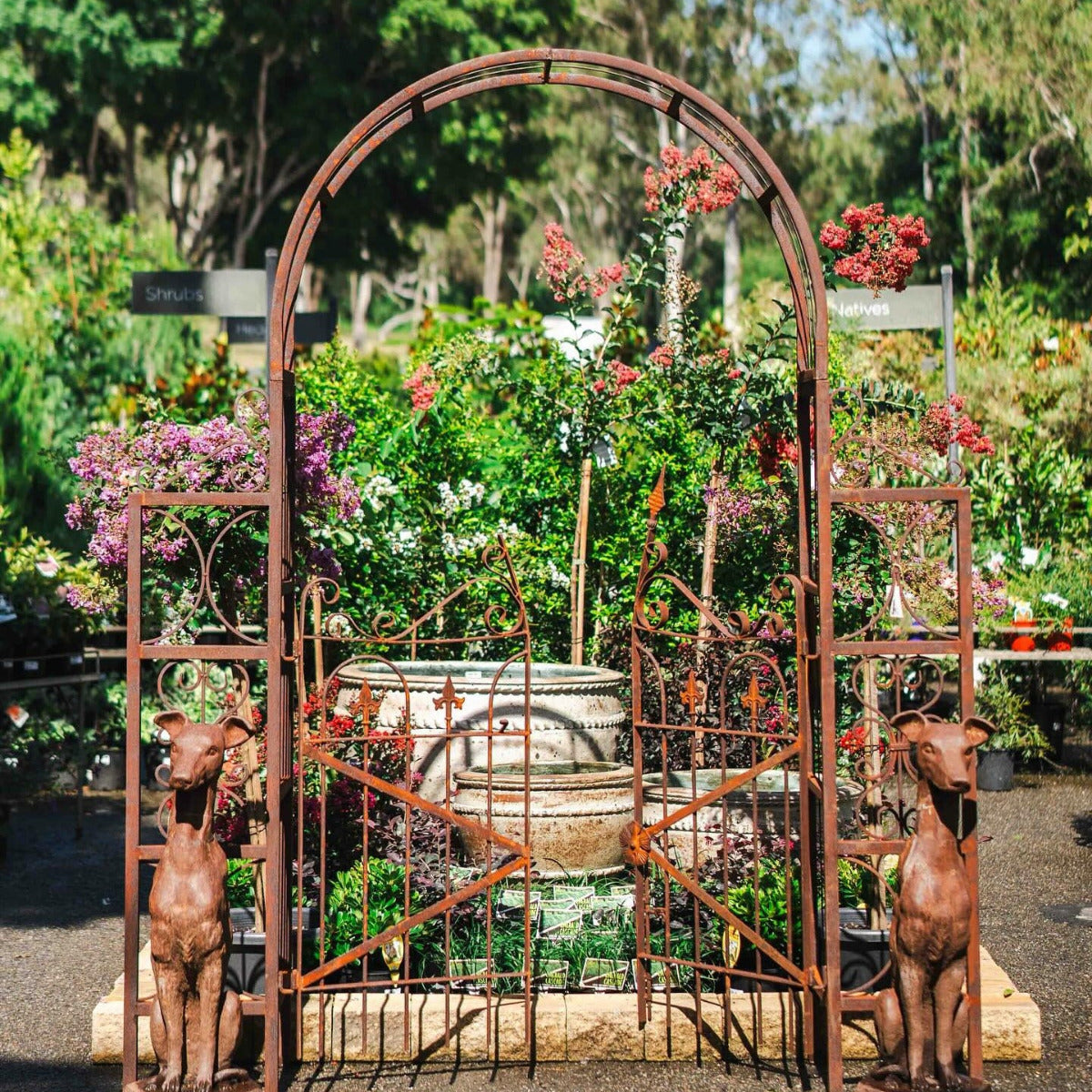 Garden Gate with Arch1