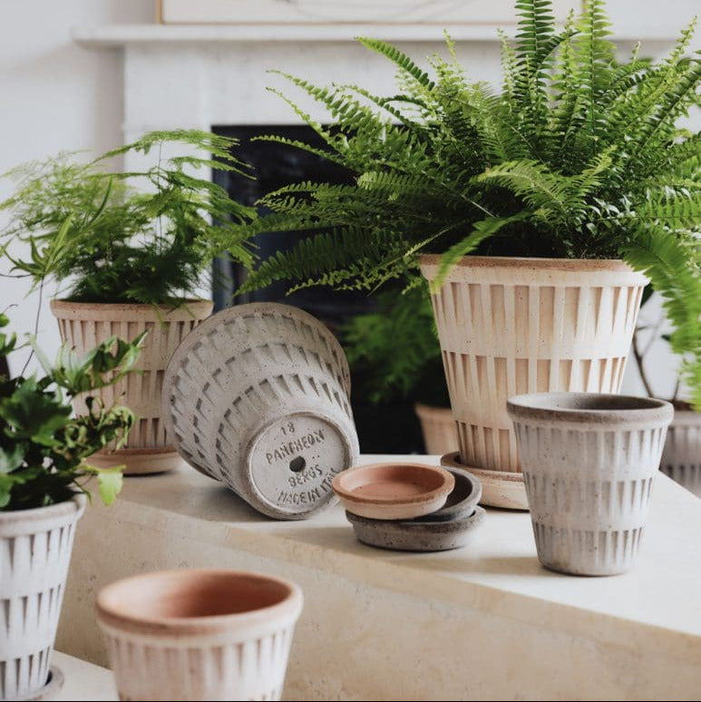 Bergs Potter Pantheon Rosa terracotta pot with matching saucer