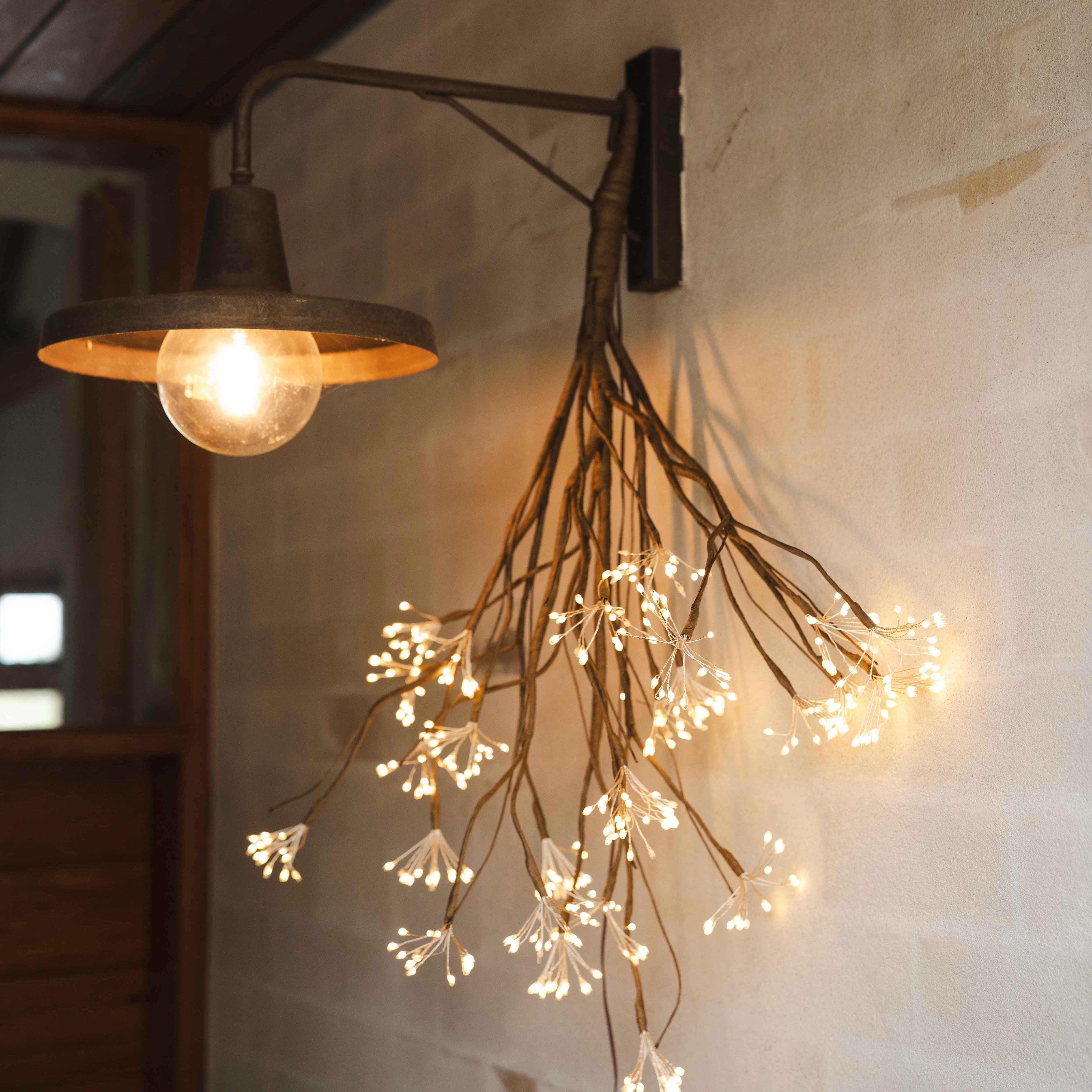 Twinkle Branch Branch