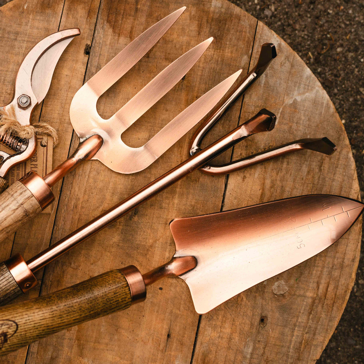 Esserchart Copper Plated Fork