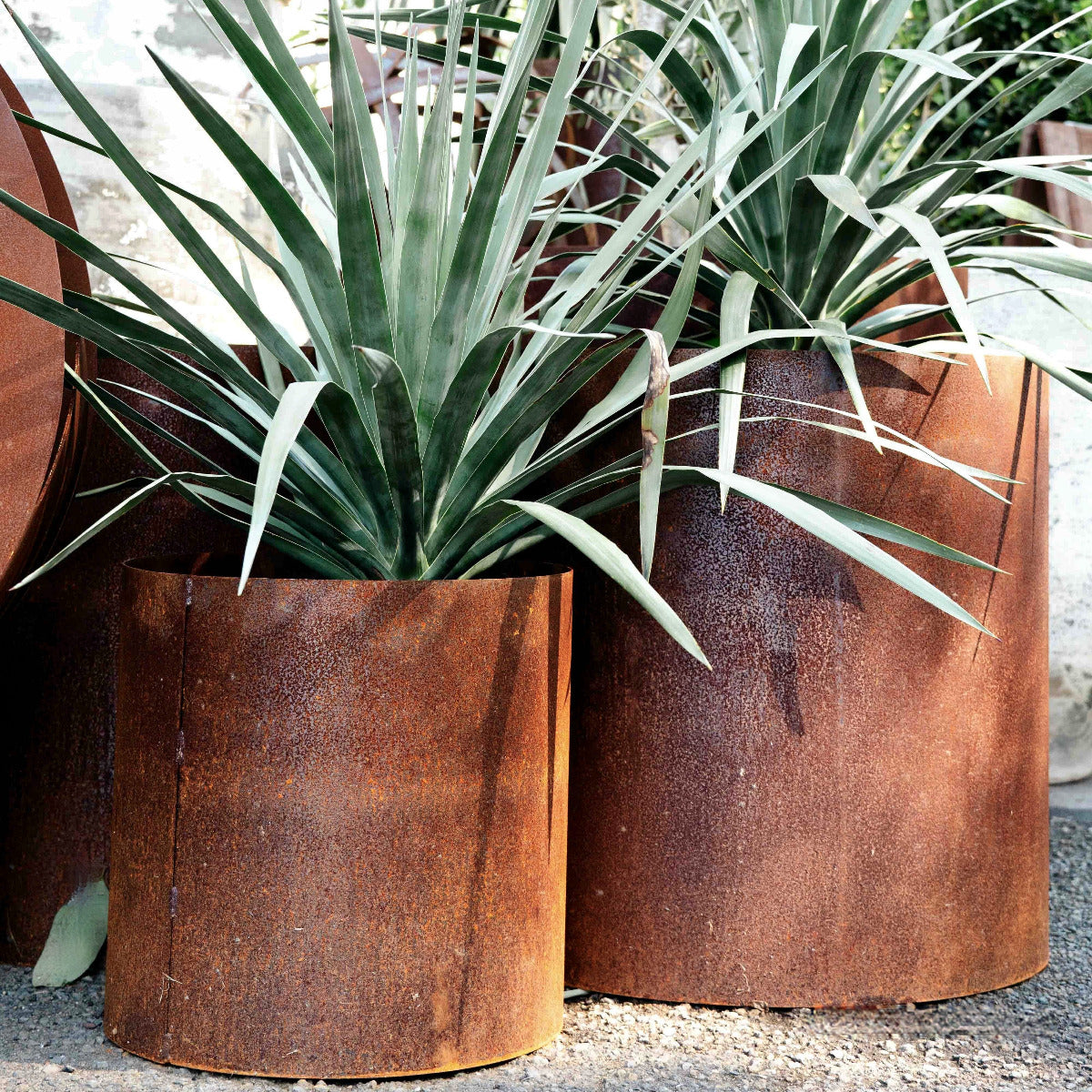 Corten Ring Planter