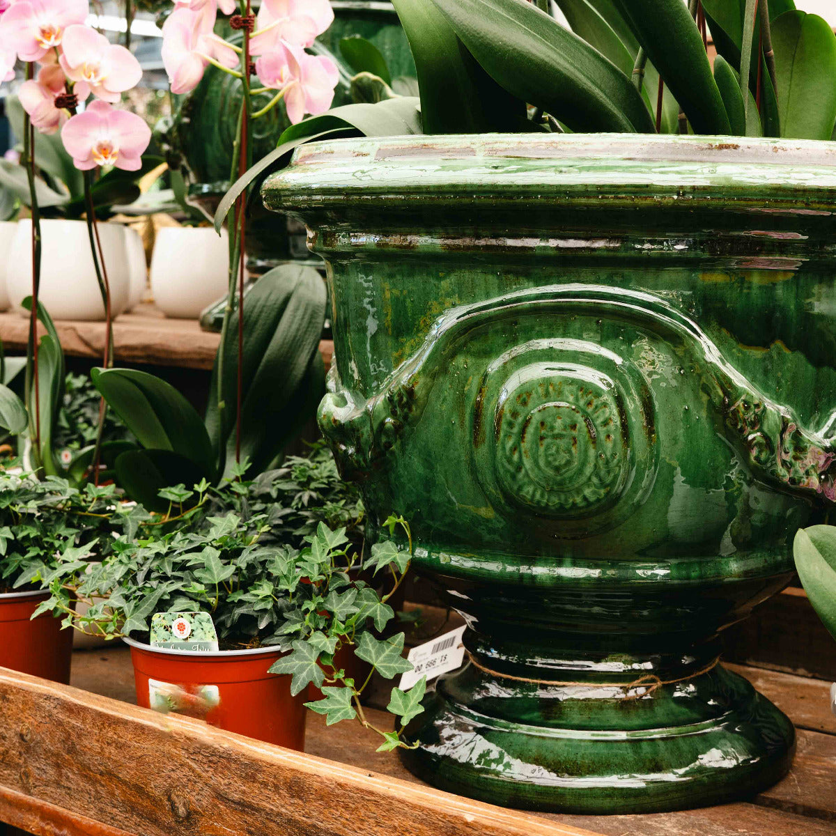 Green Versailles Coupe