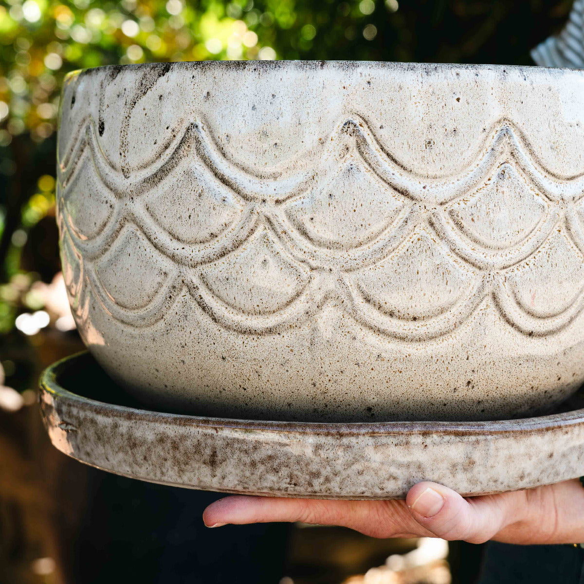 Scallop Bowl w/saucer