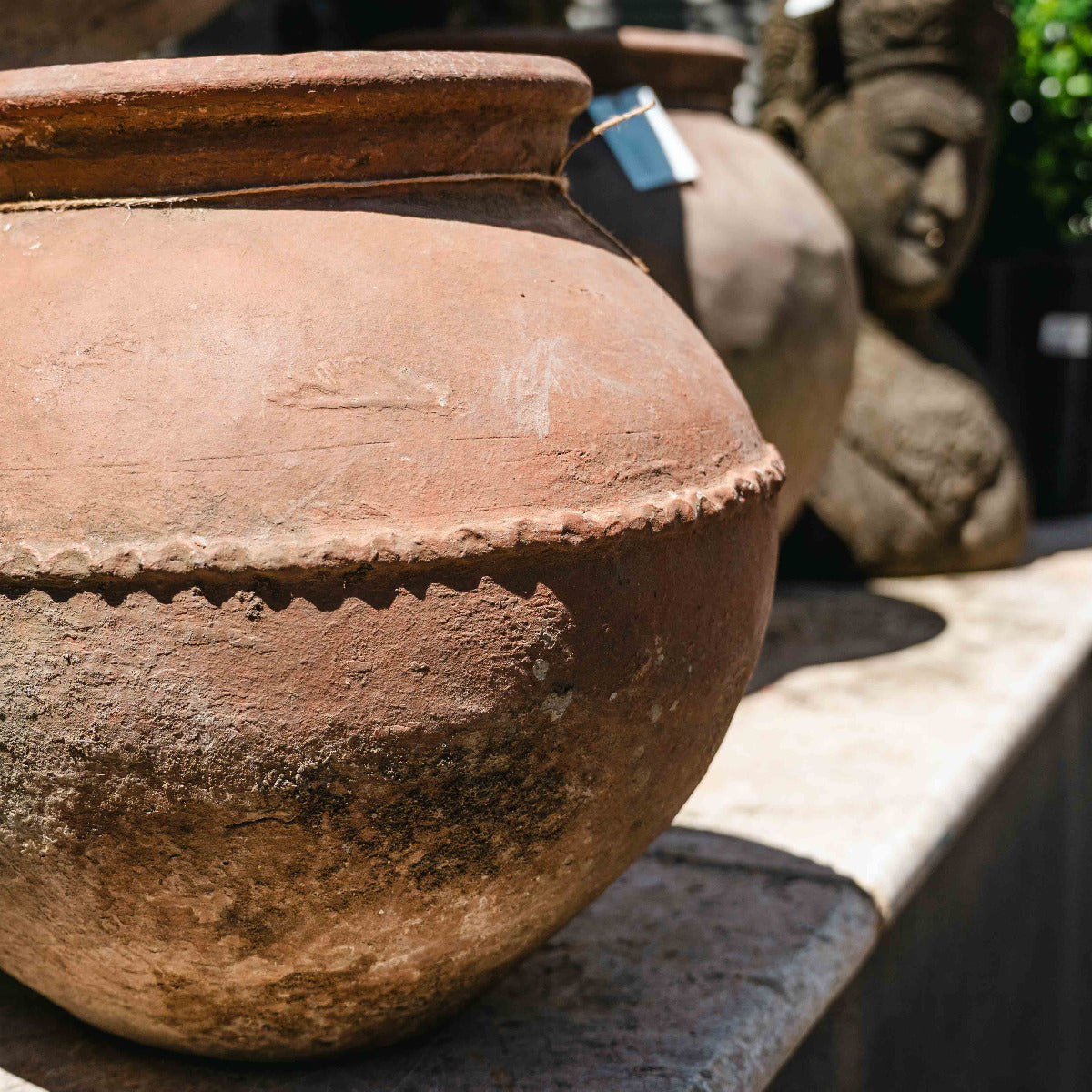 Terracotta Pot
