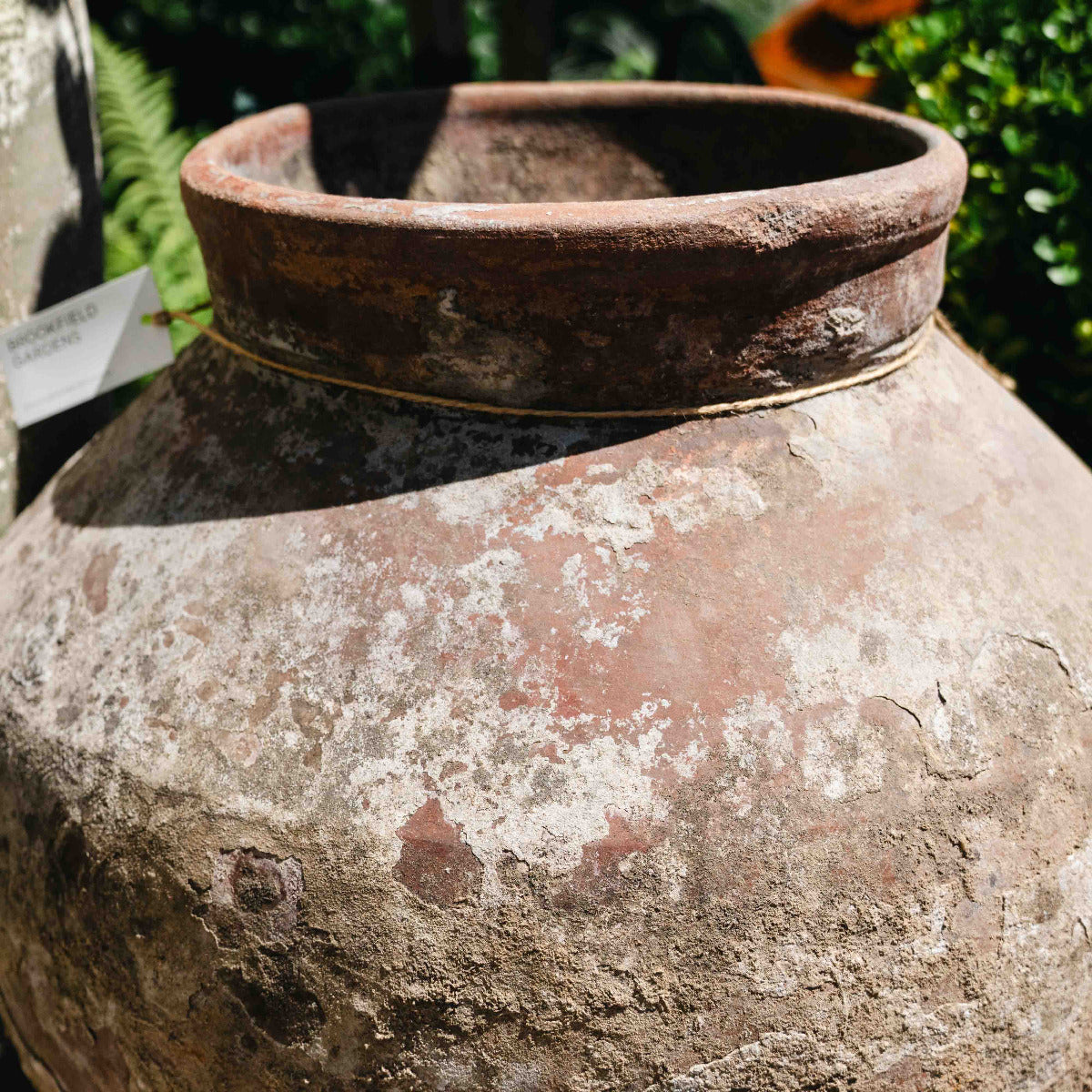 Terracotta Old Garden Pot