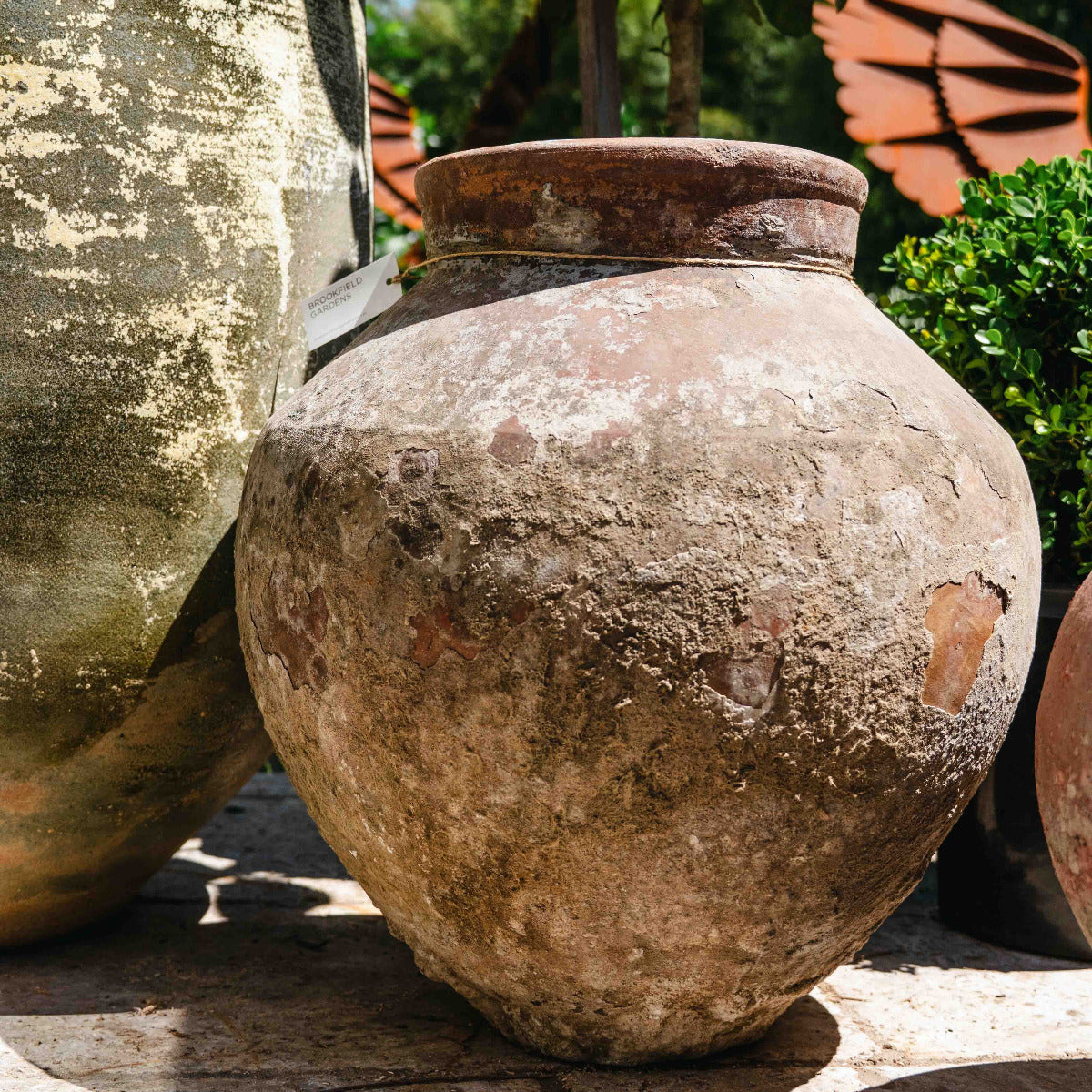 Terracotta Old Garden Pot
