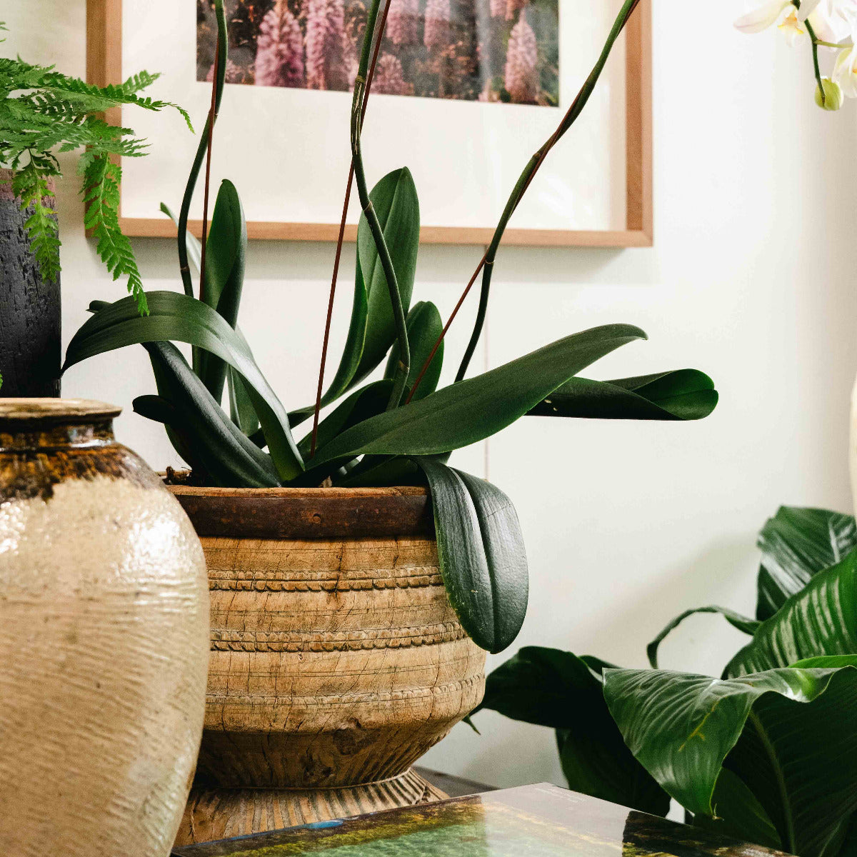 Wooden Planter with Metal Trim