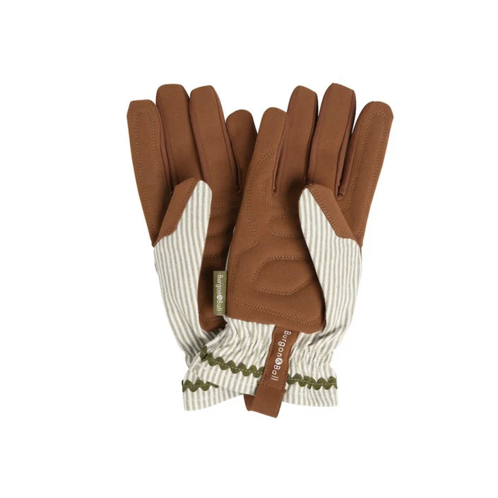 Collectors Glove Olive Stripe