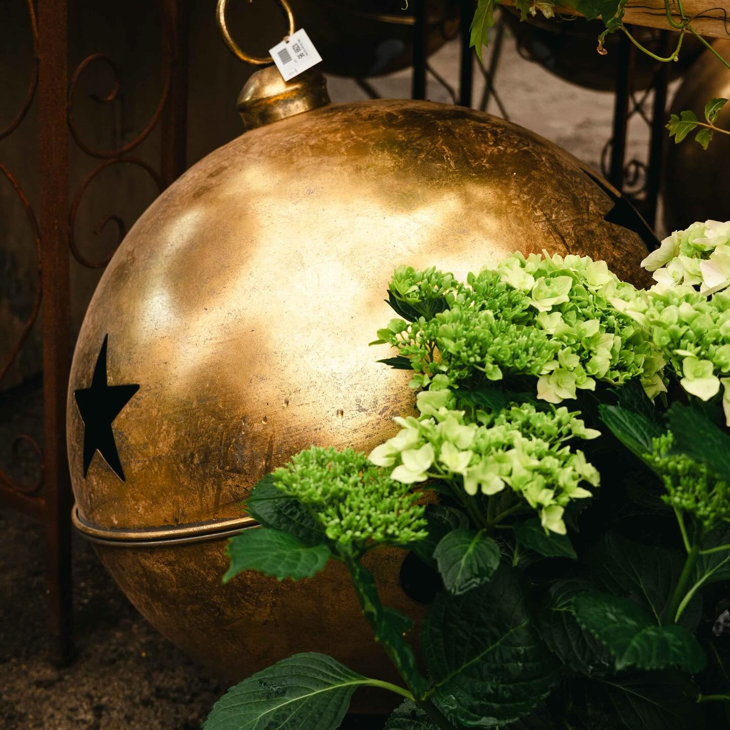 Decorative gold sphere with a star on a table surrounded by green plants