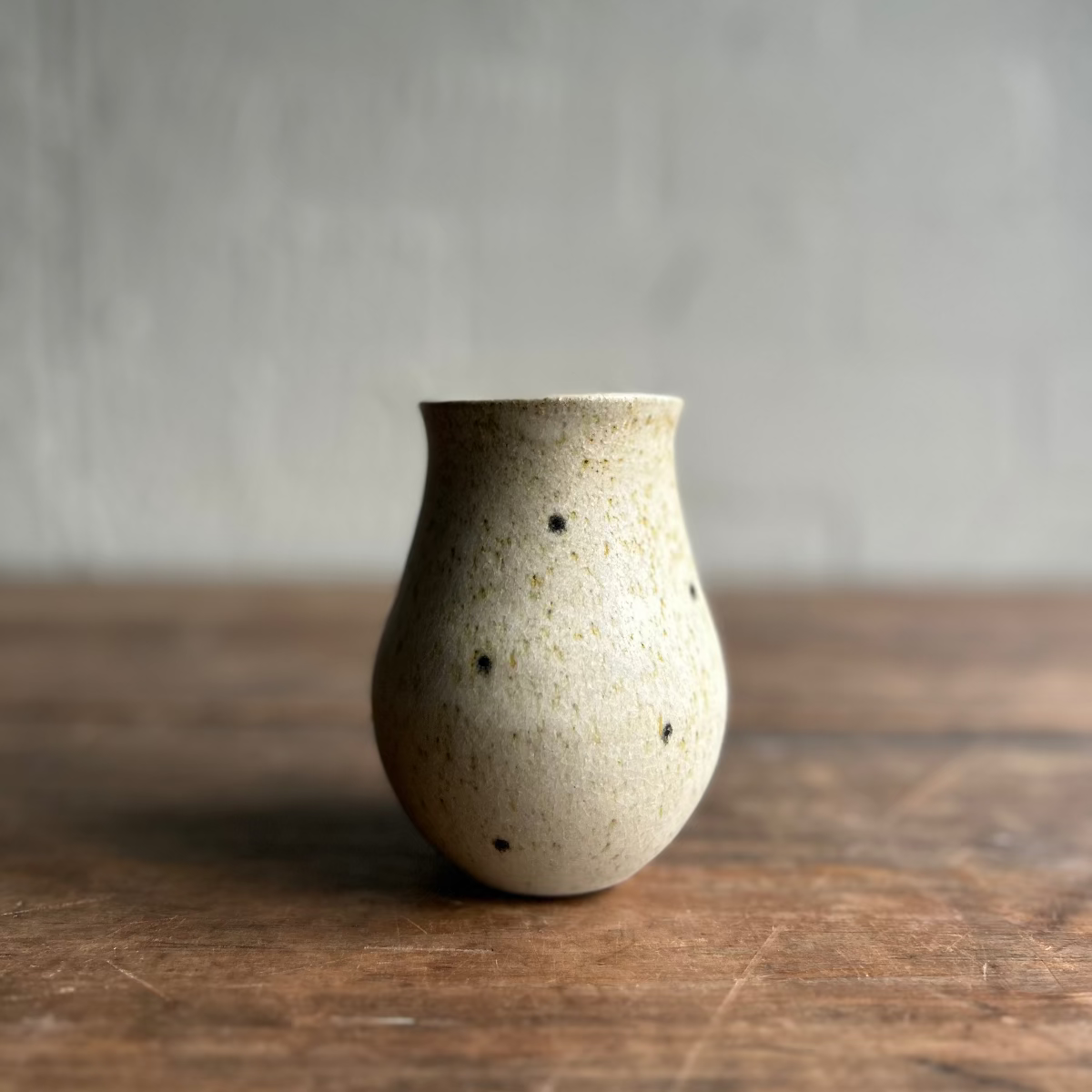 Blackbird Vase Black Spot Small