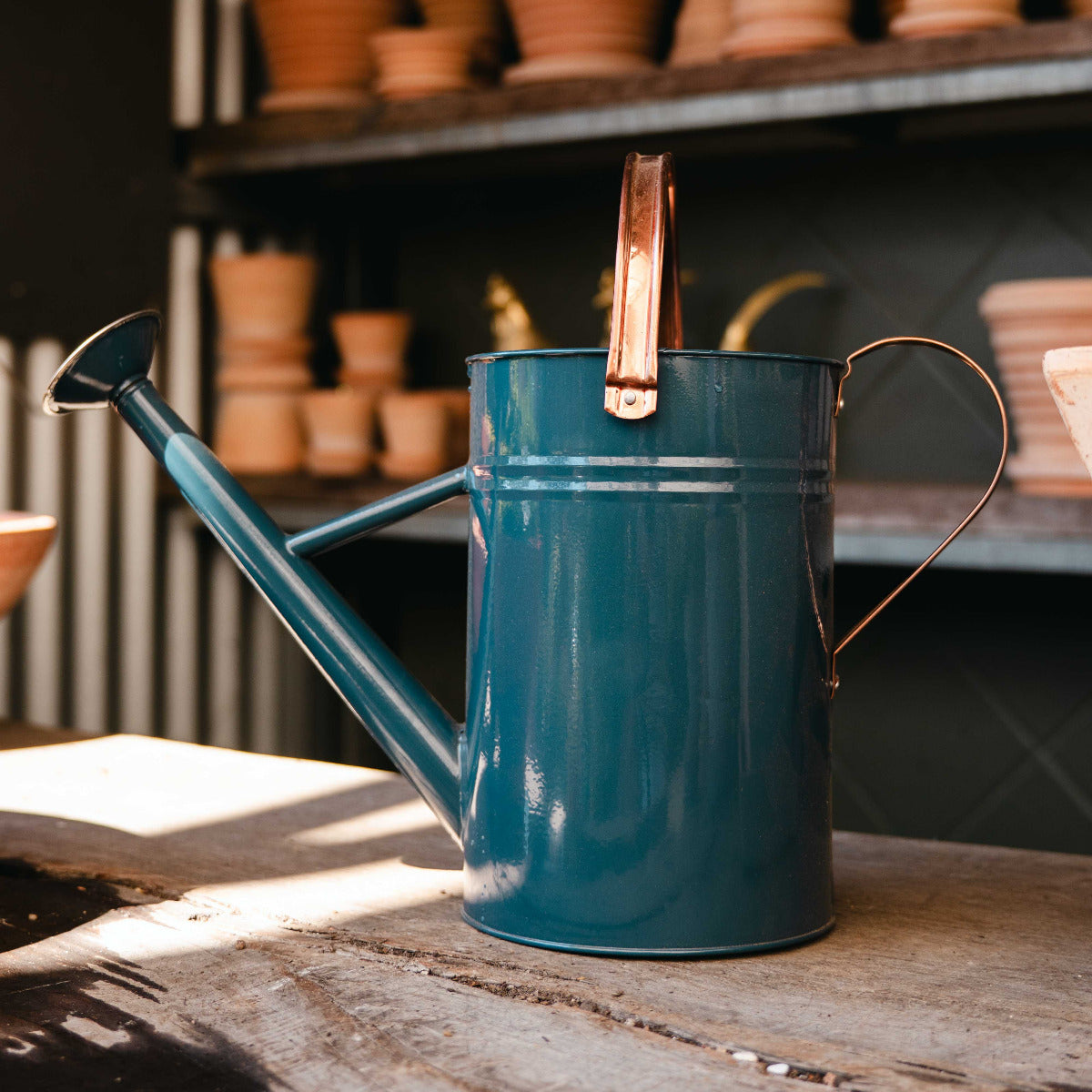 4.5Ltr Watering Can Blue