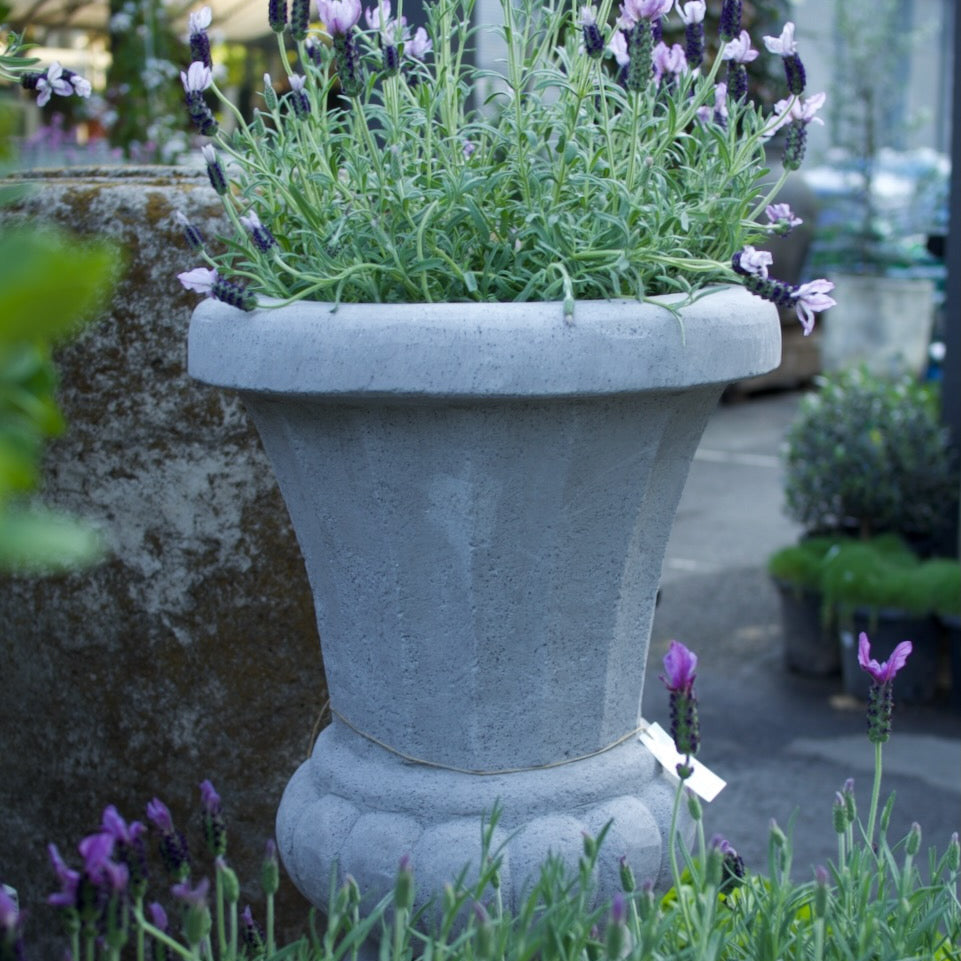 Carved French Urn Tall