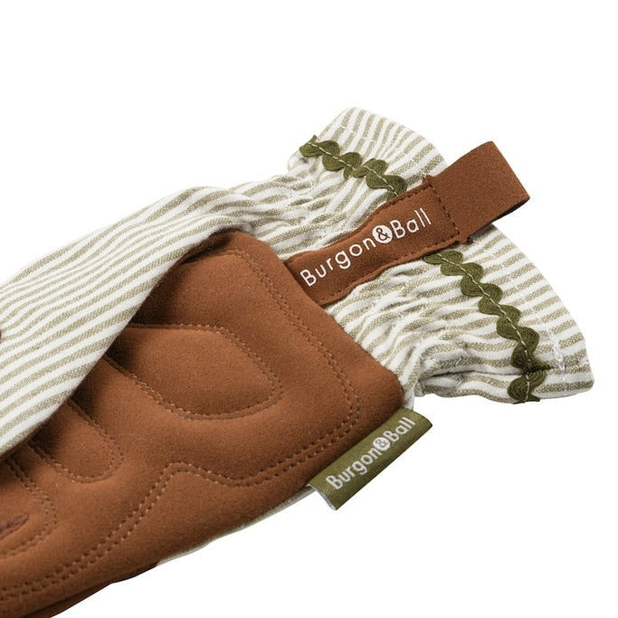 Collectors Glove Olive Stripe