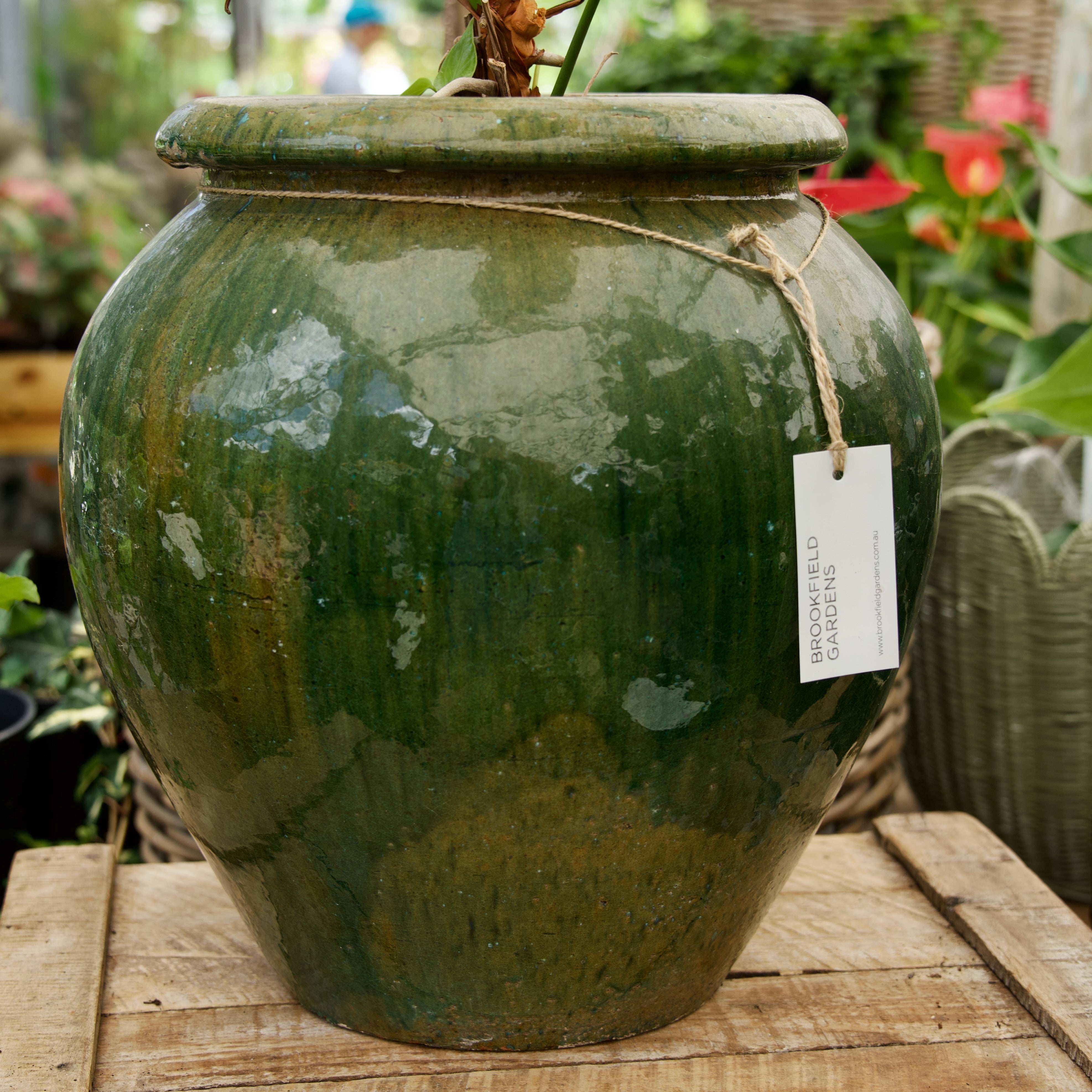 Pot Green