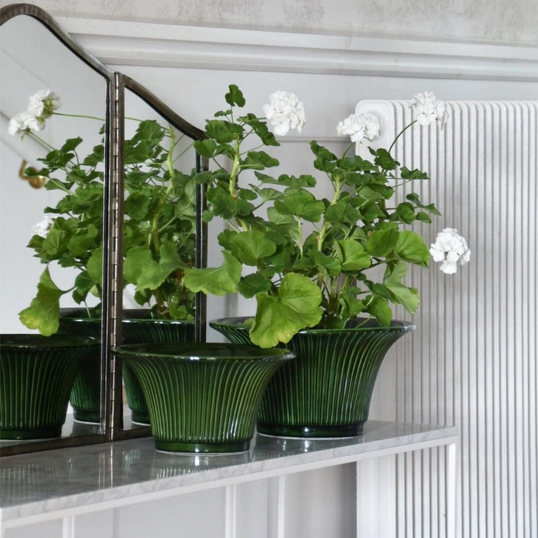 Daisy Glazed Pot Bergs Potter