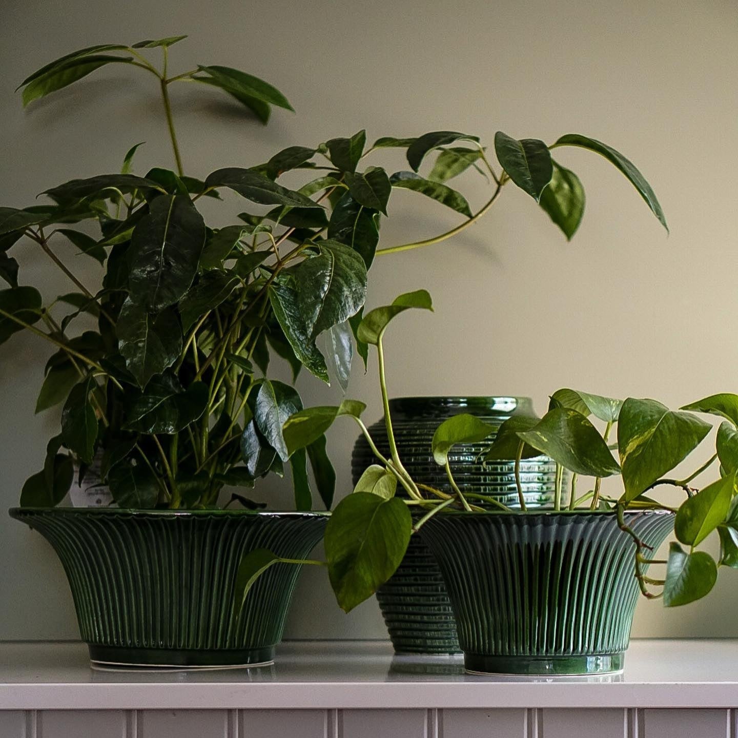 Daisy Glazed Pot Bergs Potter