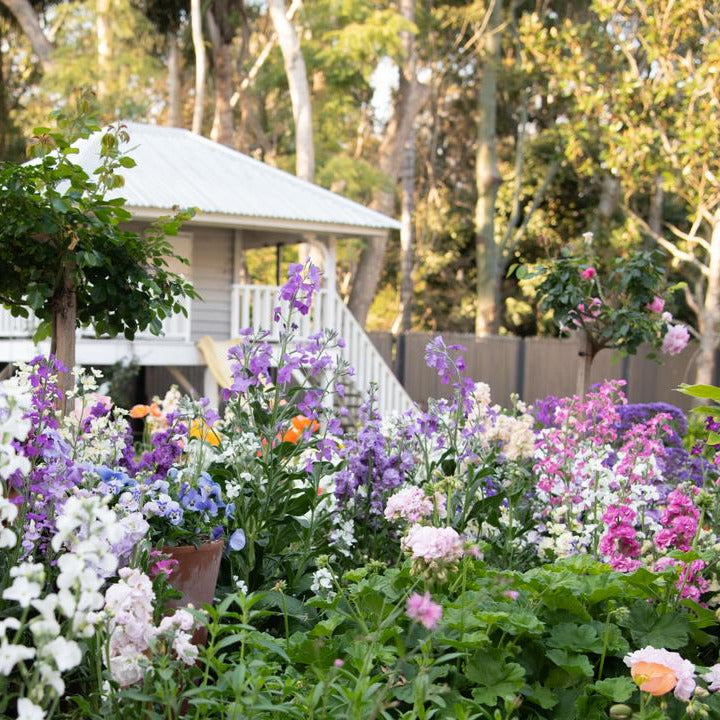 Toowoomba Spring Garden Tour 15th September