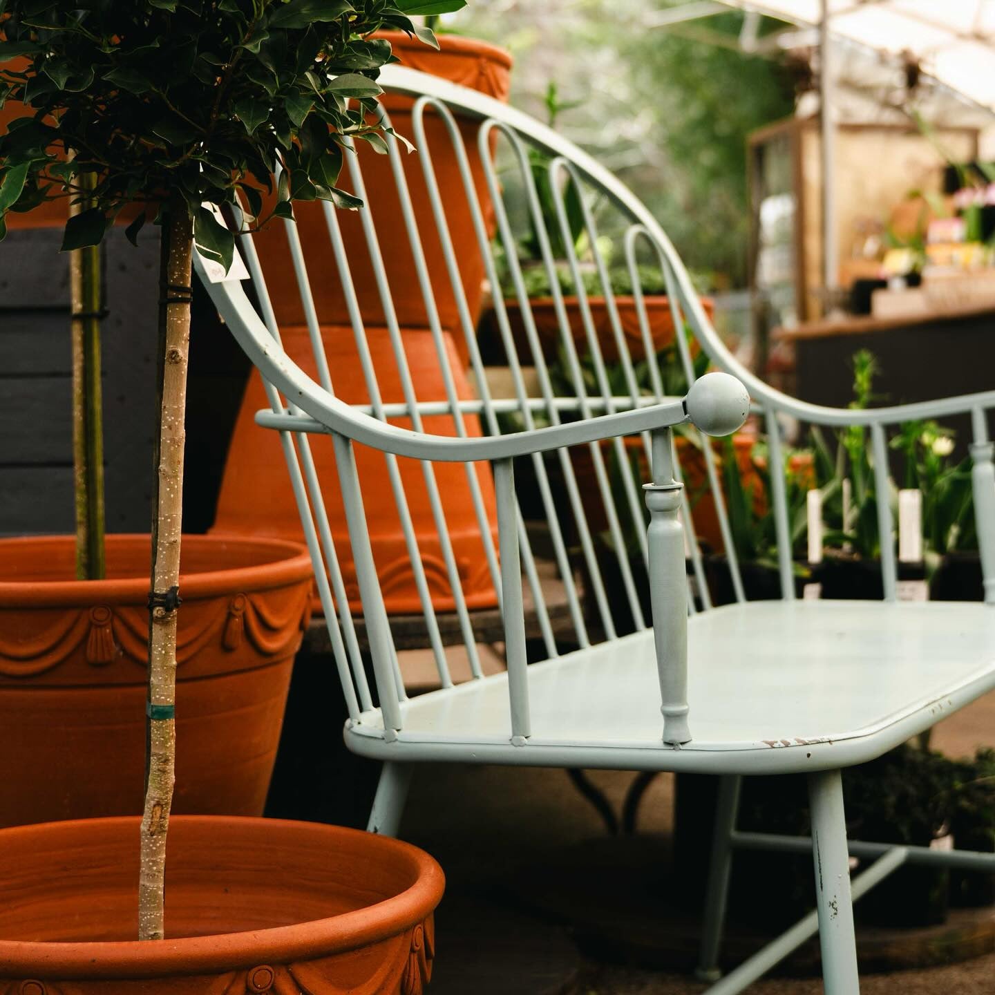 Georgian Garden Seat