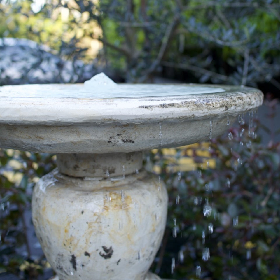 A weathered stone bird bath fountain with water dripping over the rim, set outdoors in a garden with blurred green foliage in the background.