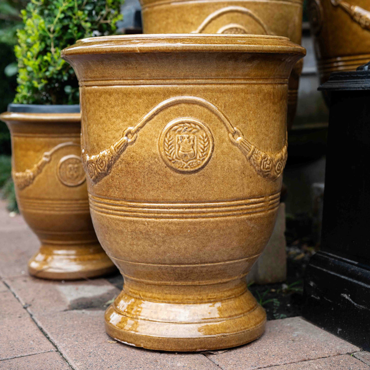 Grand Anduze urn in mustard glaze. A statement terracotta planter for formal gardens, courtyards and entryways.