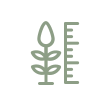 Plant Height
