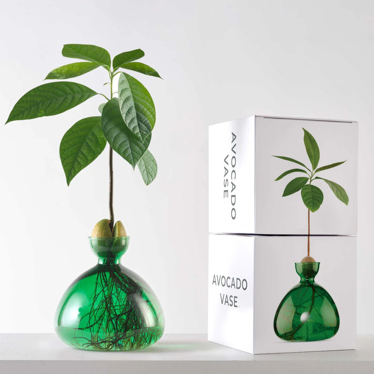 A green glass avocado vase with a small potted plant, shown next to its white product packaging boxes on a clean white background.