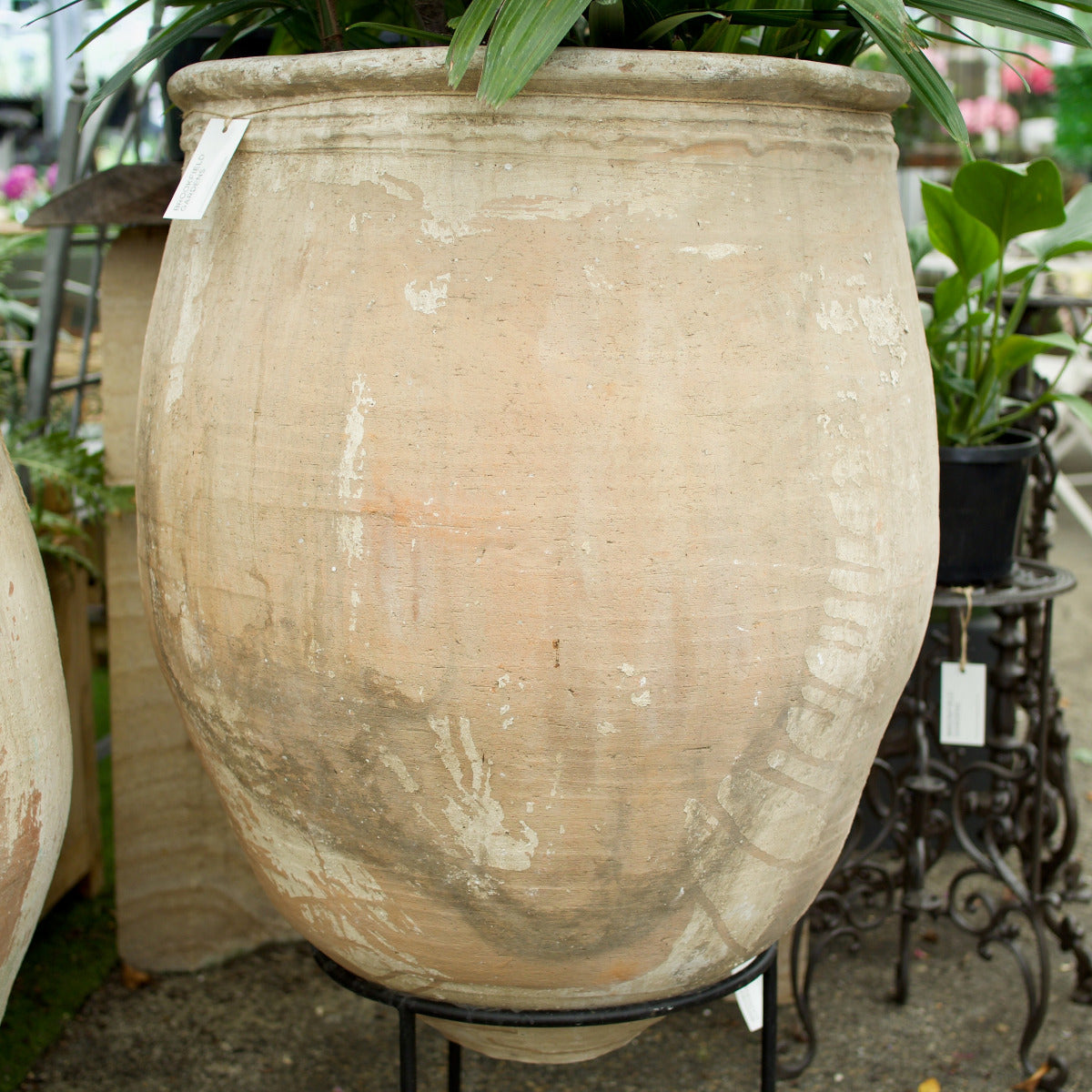 Large Ancient Turkish terracotta pot with rounded body, rolled rim and naturally weathered cream, earthy and grey patina, at Brookfield Gardens Brisbane.