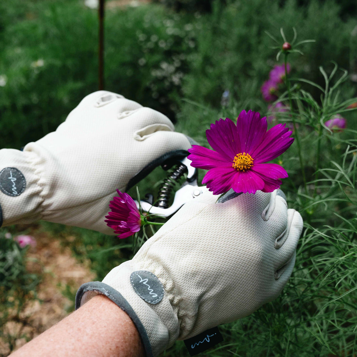 Martha Vineyard Glove
