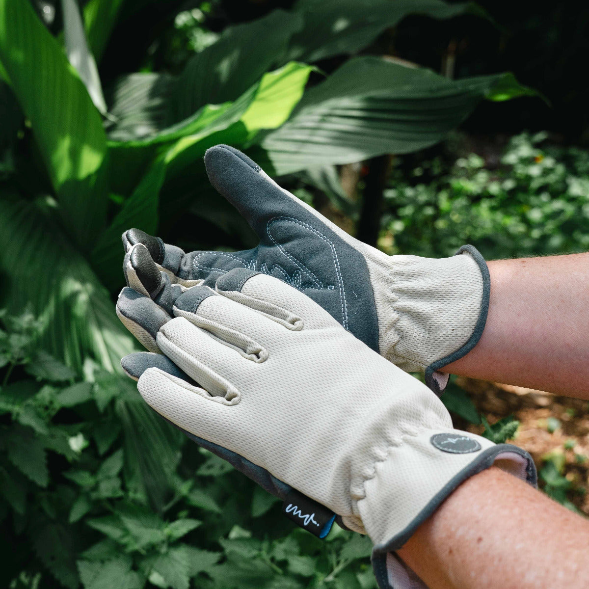 Martha Vineyard Glove