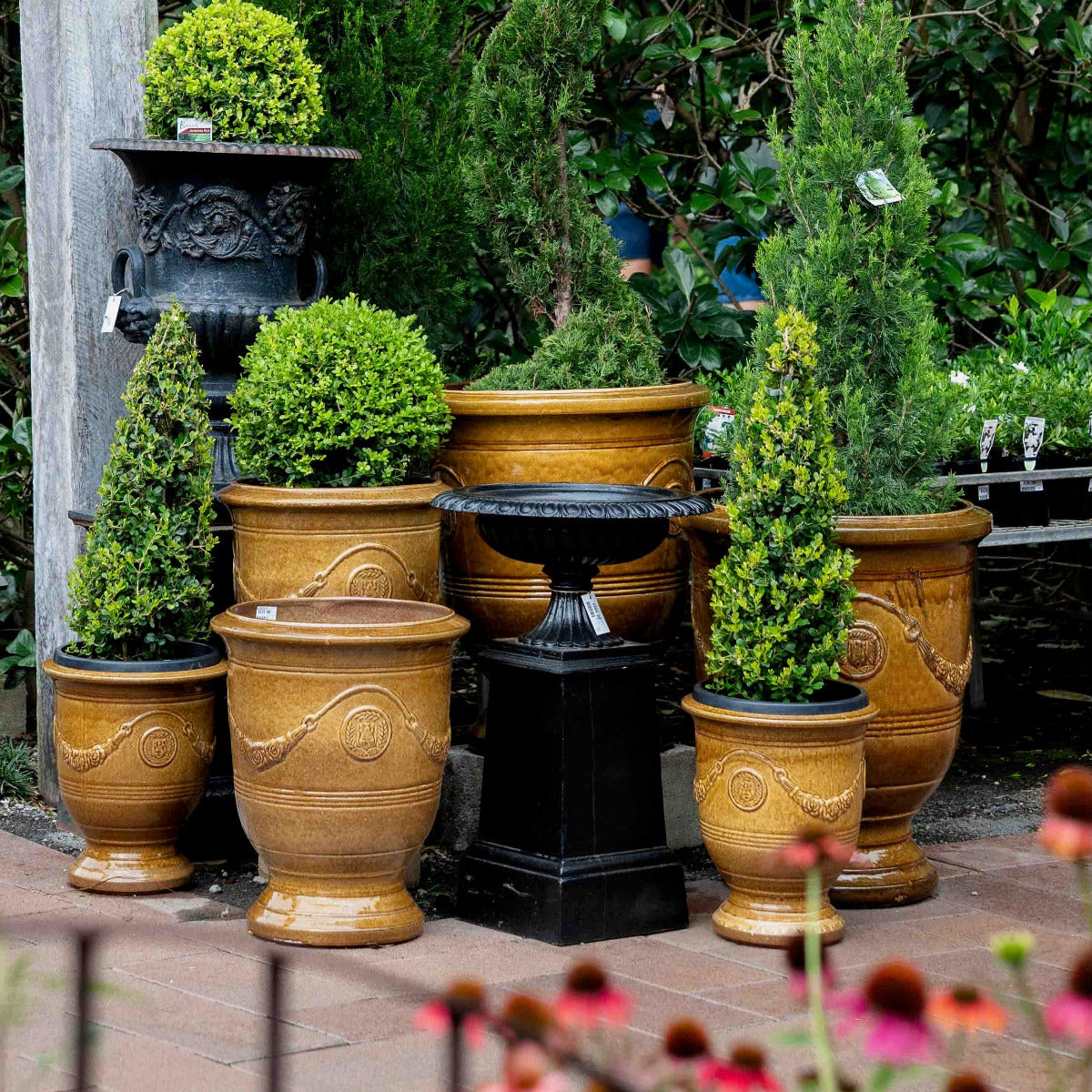 Mustard glazed Anduze urn in garden setting, Brisbane garden style