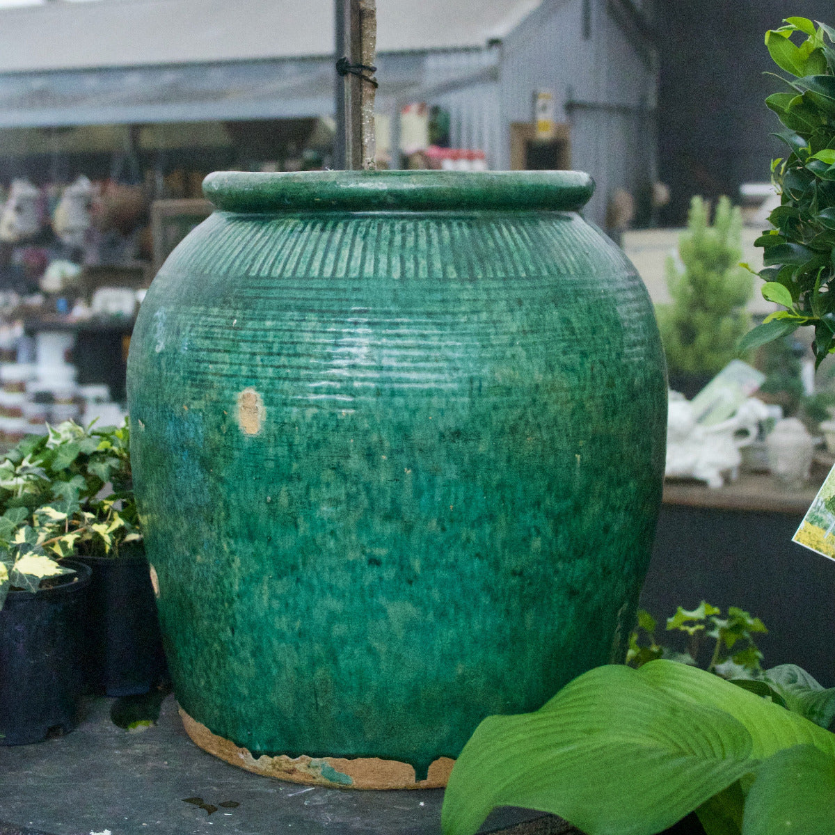Antique Green Pot