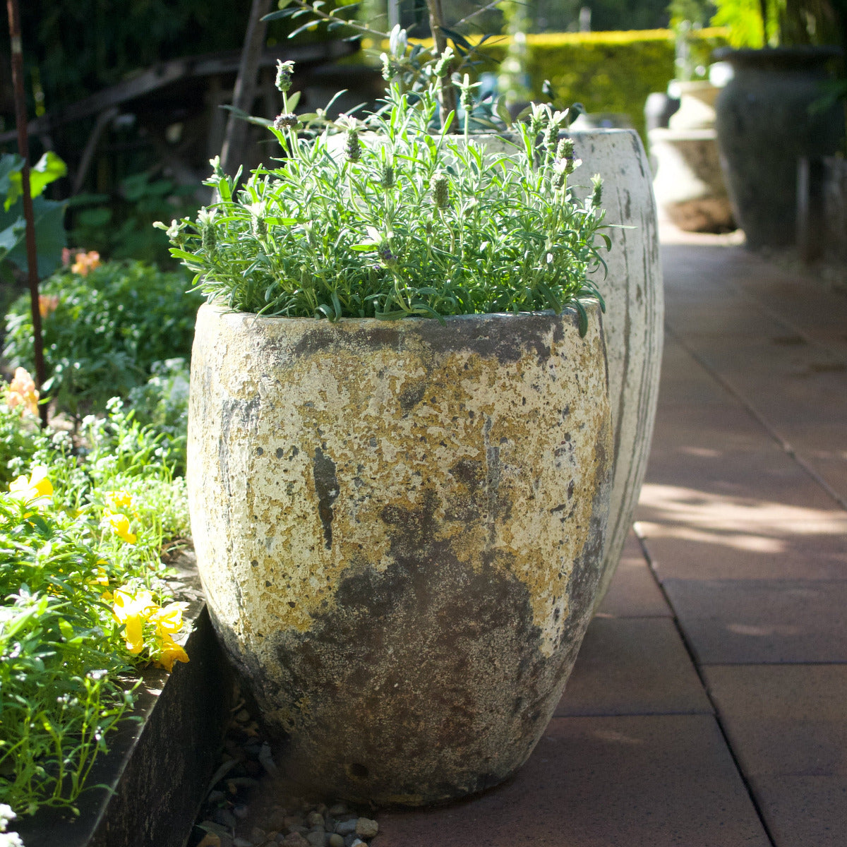 Tall Egg Planter