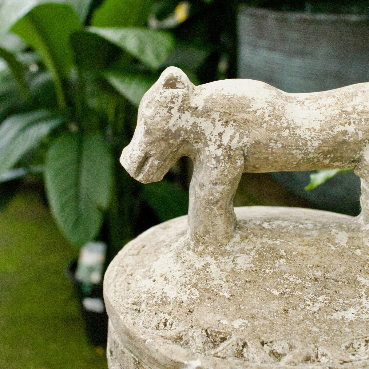 Limestone Bowl with Lid