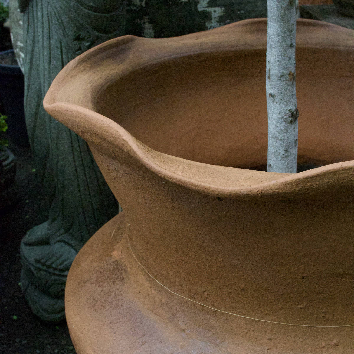 Terracotta Pot Scallop