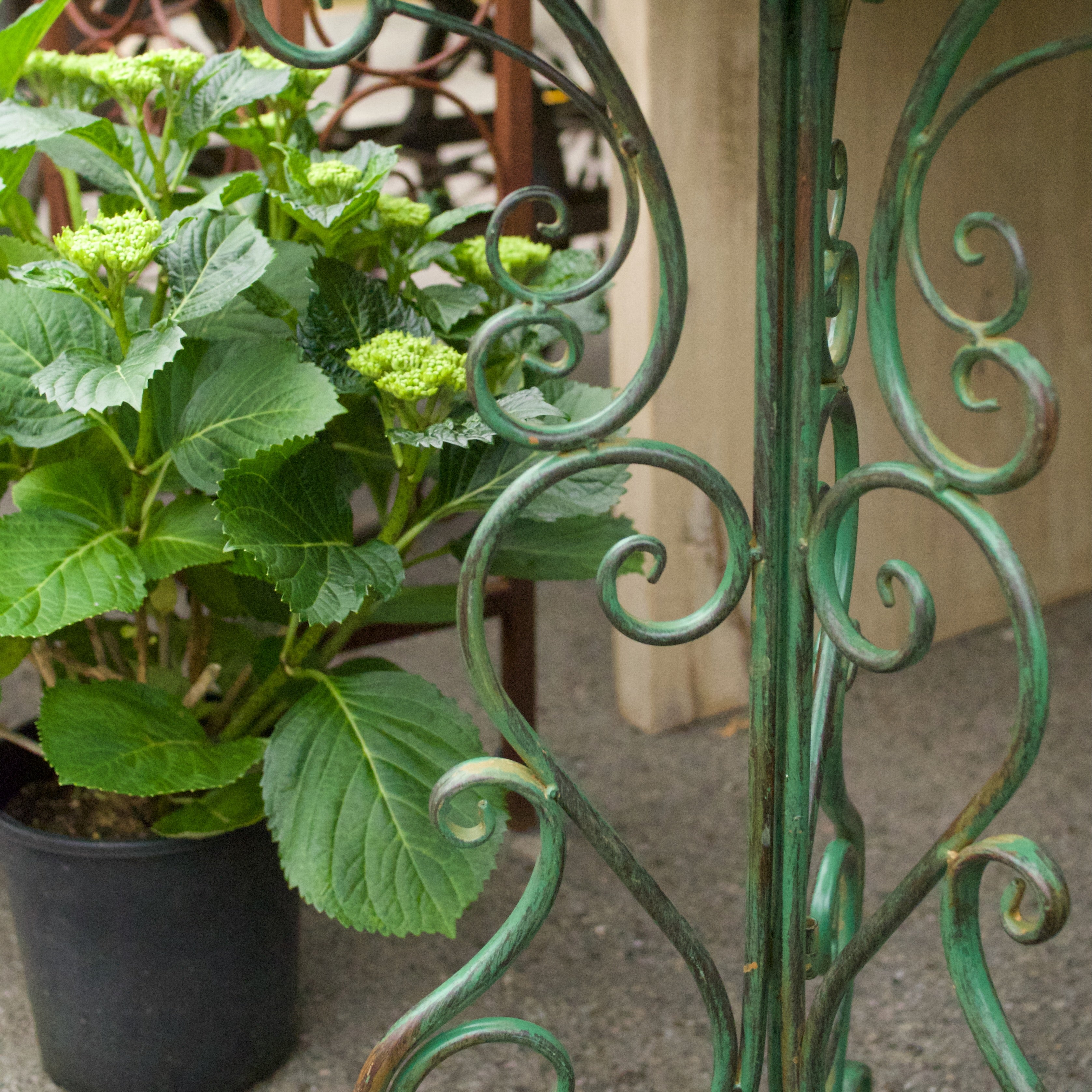 Florentine Bird Bath
