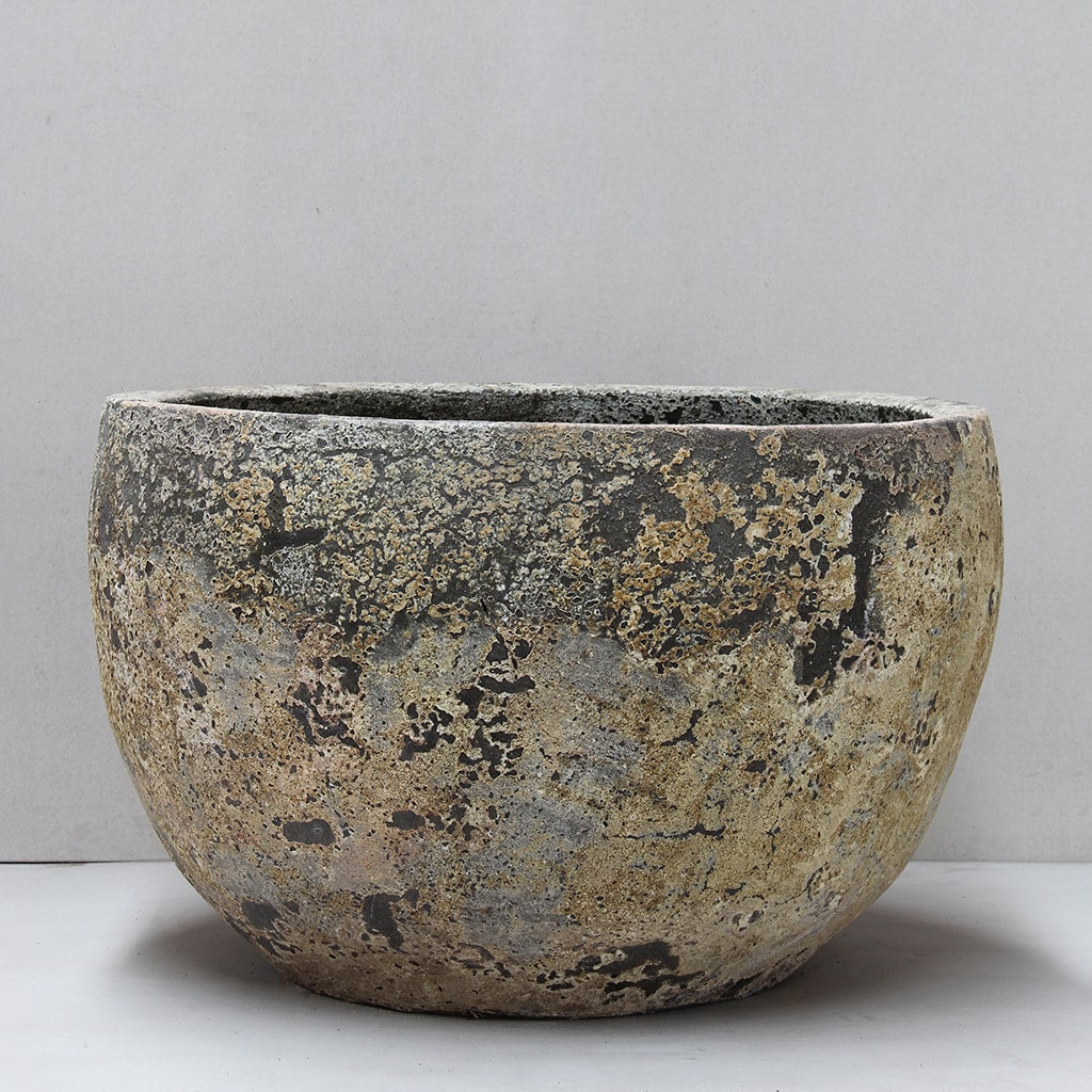 Palm Planter