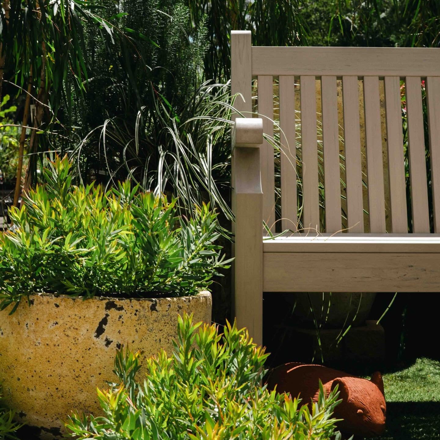Workshop - Gardening in small spaces 9th September