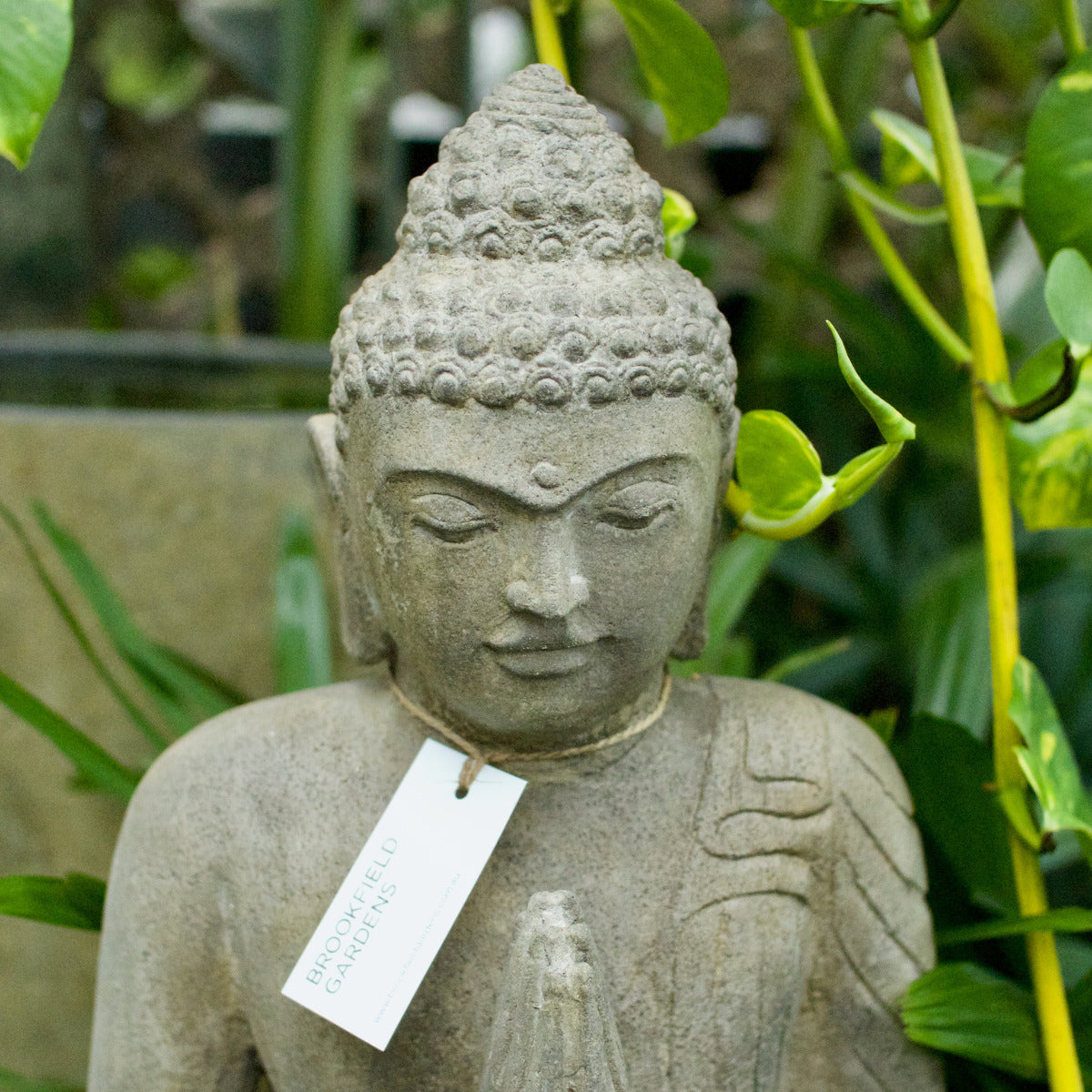 Sitting Buddha Praying