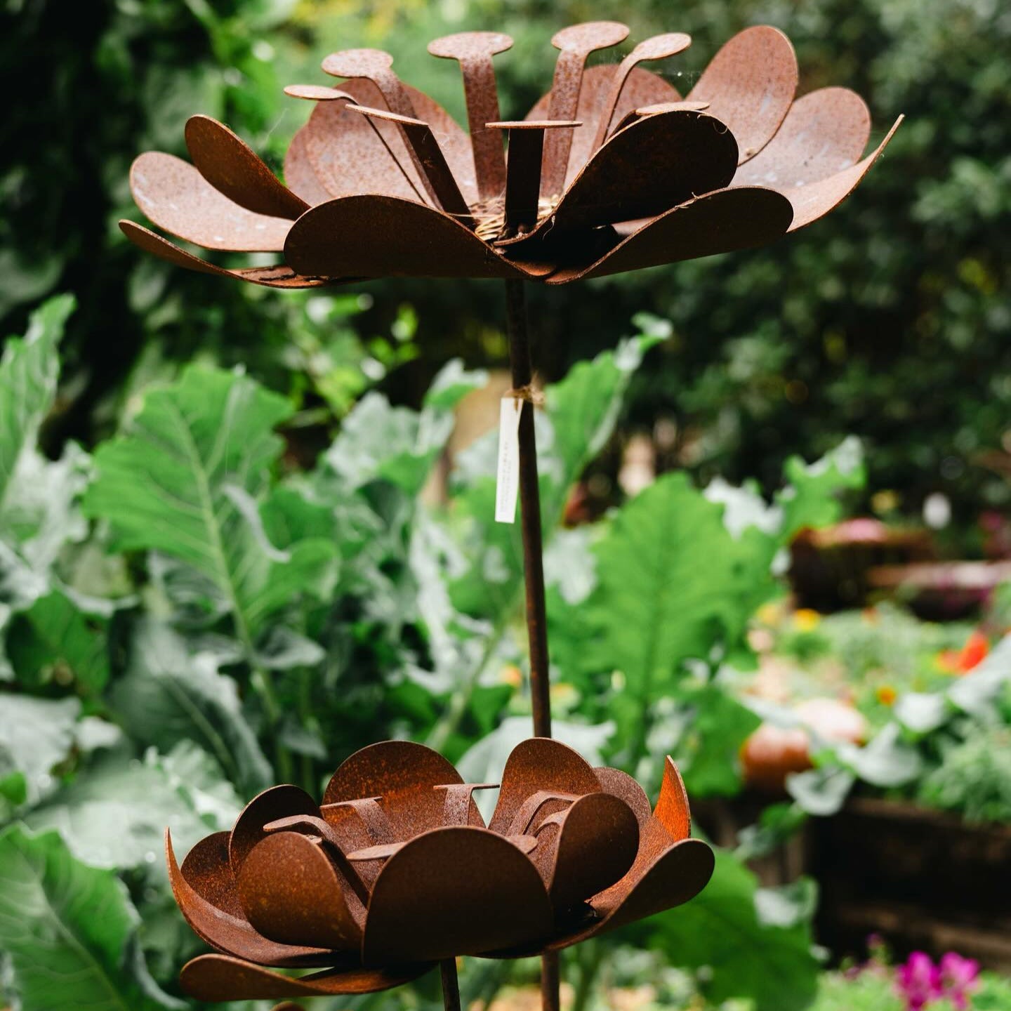 Poppy Sculpture Garden Small