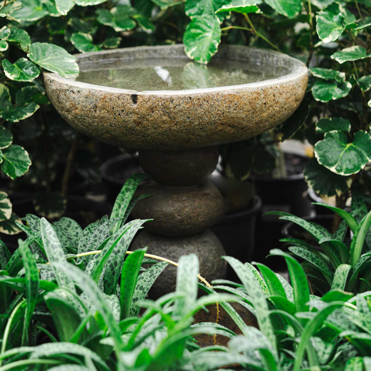 Stone Bird Bath