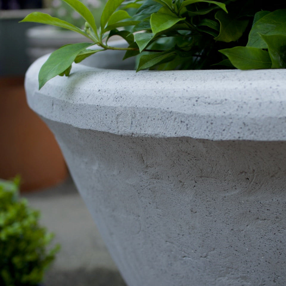 A close-up of a large, textured light gray concrete planter pot filled with green foliage, set against a softly blurred outdoor background.