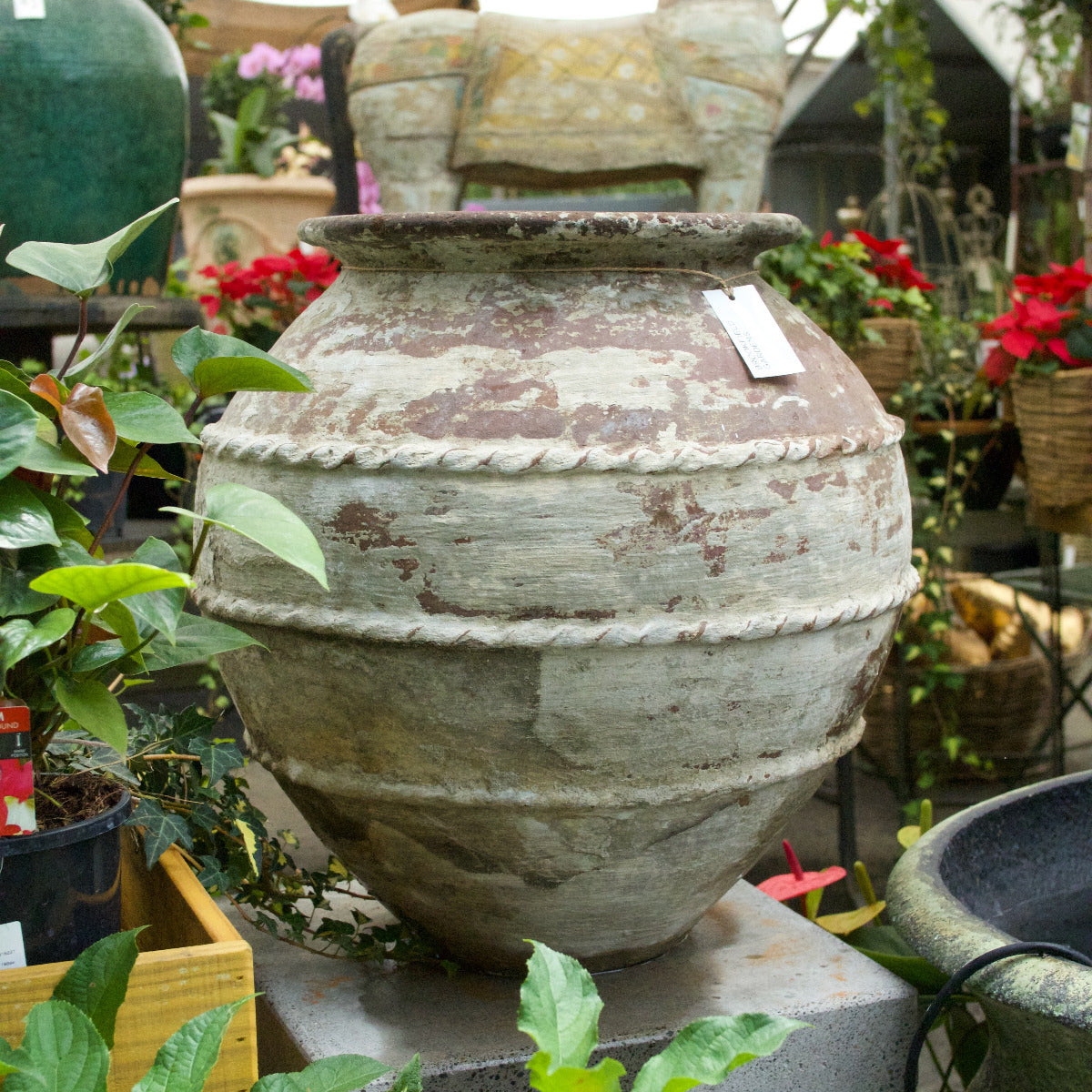 Terracotta Old Garden Pot