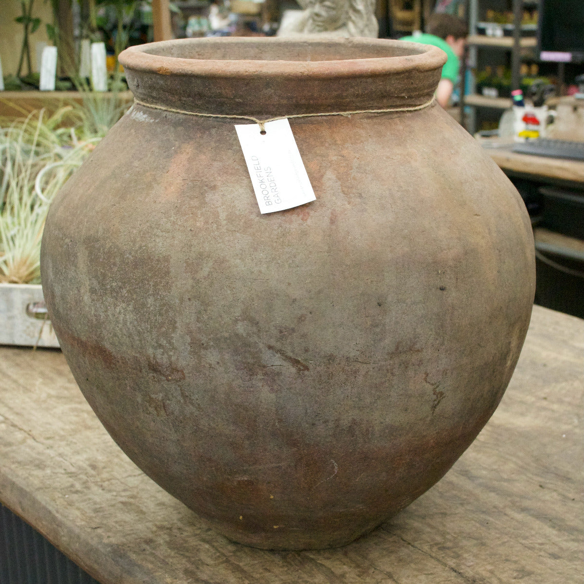 Terracotta Pot