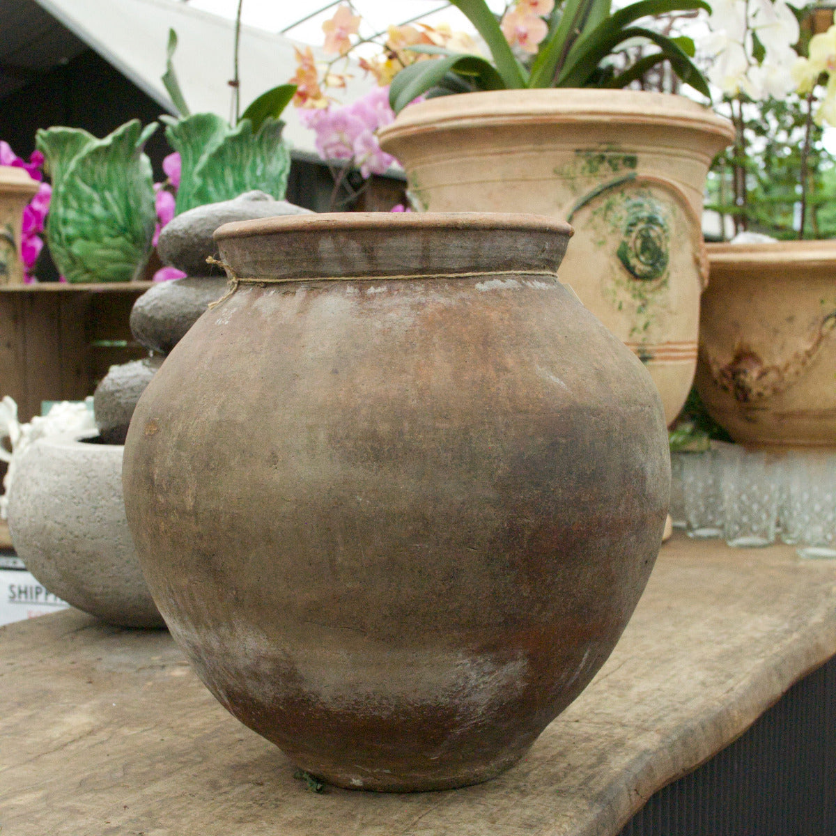 Terracotta Pot
