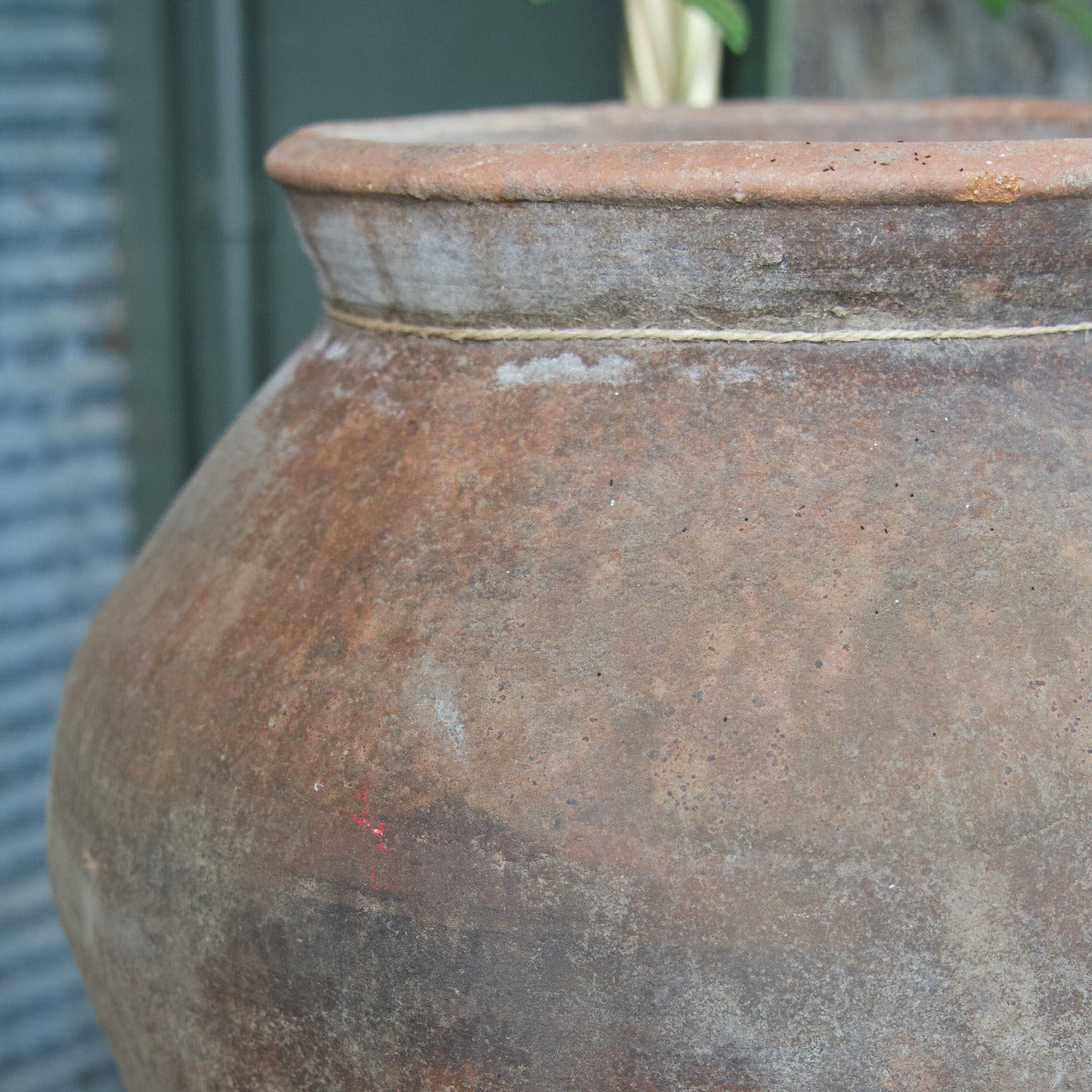 Terracotta Pot