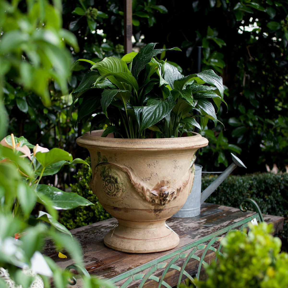Le Chêne Vert pots and urns are handmade in a family workshop in Anduze, southern France, using the traditional hand-thrown and rope-thrown techniques that made the Anduze vase world-renowned.