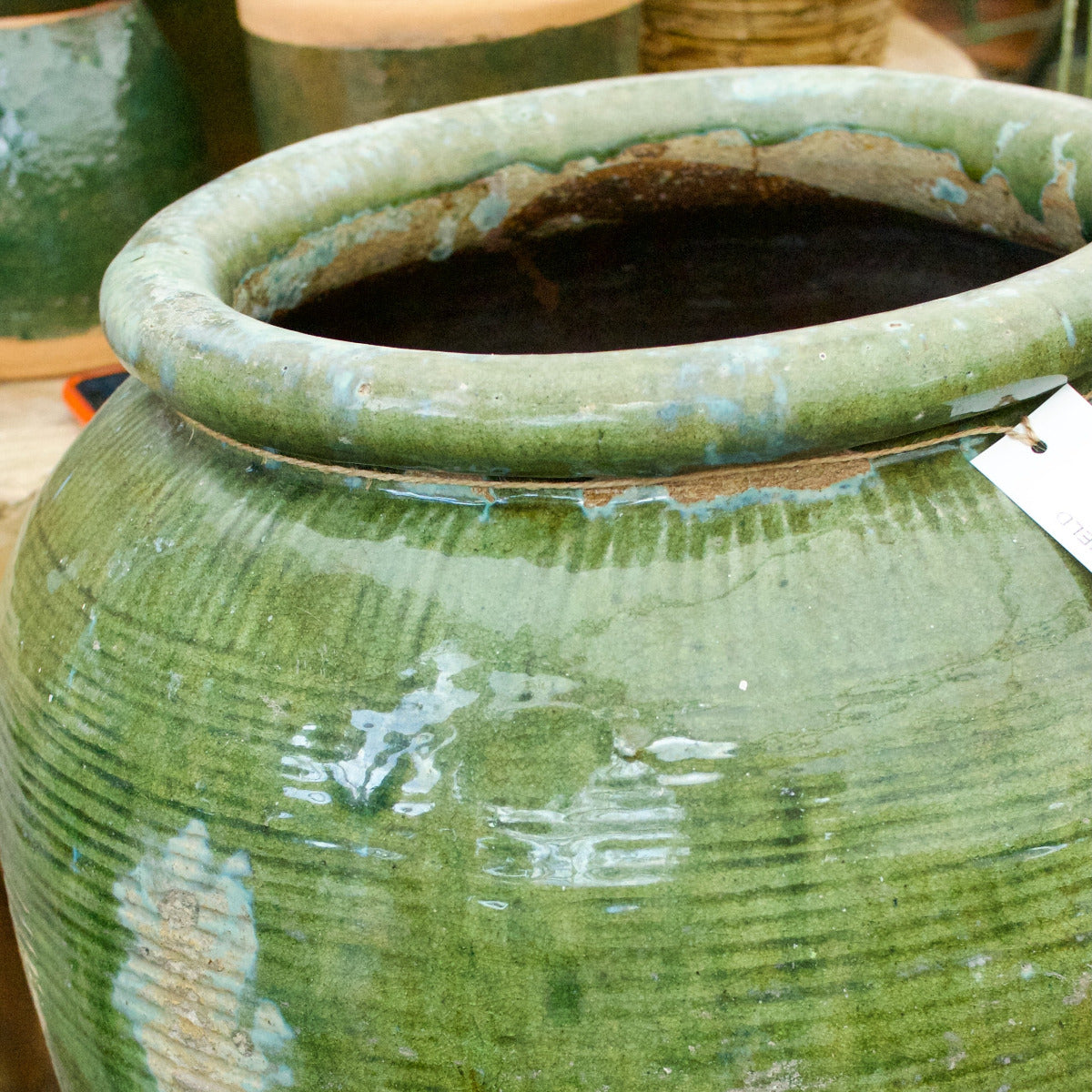 Vintage Green Water Pot